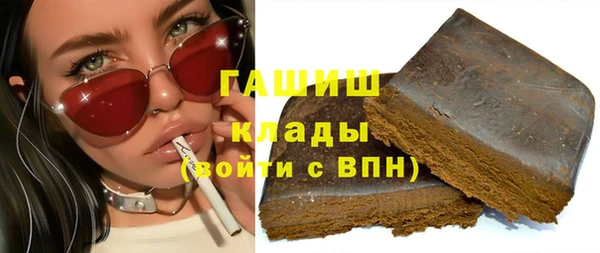 индика Алзамай