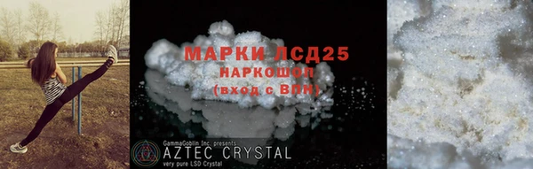 индика Алзамай