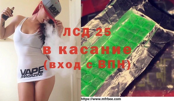 индика Алзамай