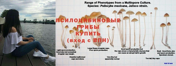 прущие крисы Алексеевка