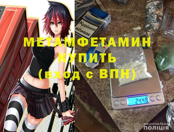 стаф Осинники